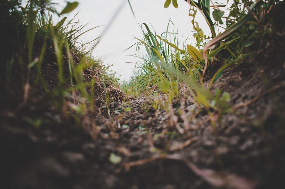 Should You Bury PEX Directly In Soil
