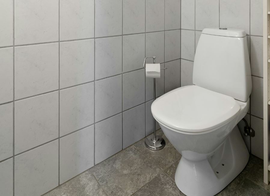 Cracked Toilet Bowl
